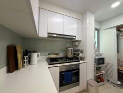 Eight Riversuites (D12), Condominium #583747311